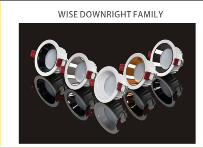 Wise 12W Downlight